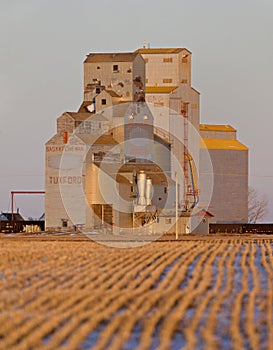 Prairie Grain Elevator