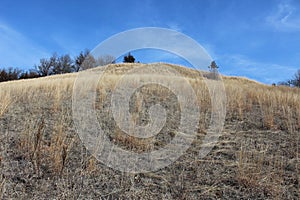 Prairie Grass Hill