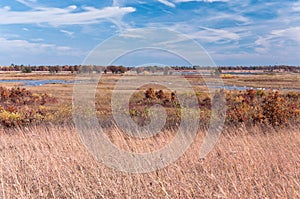 Prairie Grasses and Wetlands at Necedah