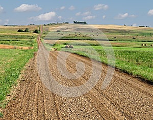 Prairie gravel road through fields.