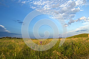 Prairie landscape with wildflowers