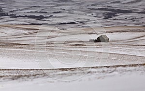 Prairie Landscape in winter