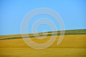 Prairie Landscape with yellow grasses and blue sky