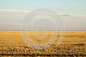 Prairie. and Larga Open AREA of-the grassland,