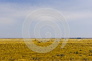 Prairie near Brooks, Alberta, Canada