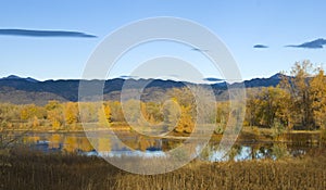 Prairie Pond in Bright Sunlight