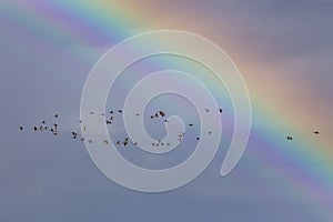 Prairie Rainbow in Saskatchewan