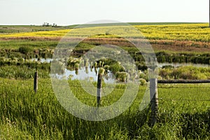 The Prairie, Saskathewan, Canada