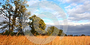 Prairie scene in Illinois photo