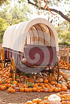 Prairie Schooner Wagon