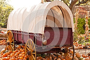 Prairie Schooner Wagon