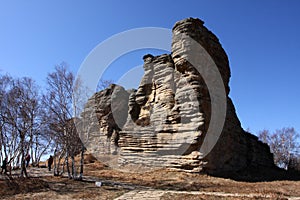 Prairie Stone Forest scenery