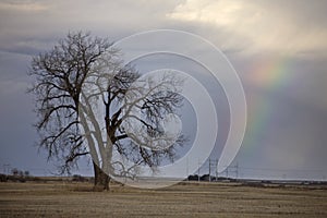 Prairie Storm Clouds