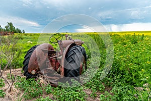 Prairie storms sweep over canola fields