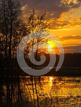 Prairie Sunset