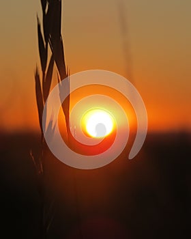 Prairie Sunset