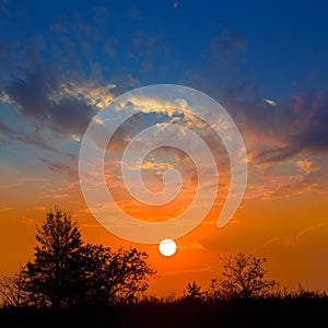 Prairie with tree silhouette on  sunset background