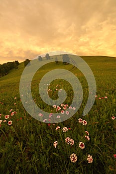 Prairie twilight