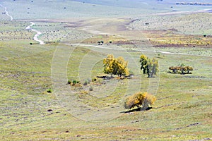 The prairie and unsurfaced road