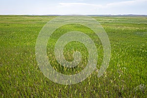 Prairie Wind Overlook in Badland national park during summer. From grassland to valley. Badland landscape South Dakota