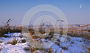 Prairie Winter