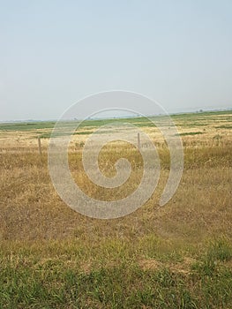 Prairies needing some rain showers very dry