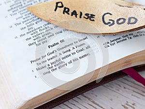 Praise God and Jesus Christ. Psalms Holy Bible Book.