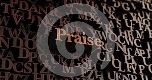 Praise - Wooden 3D rendered letters/message