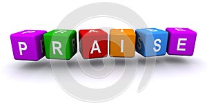 Praise word block on white