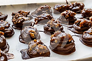 Praline Chocolate with walnut, almond, peanut or croquant