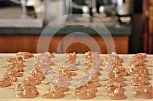 Pralines Cooling at a Candy Store in New Orleans