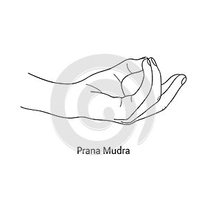 Pran Mudra / Gesture of Life. Vector