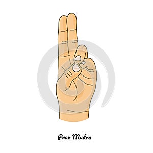 Pran Mudra / Gesture of Life. Vector