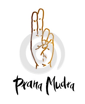 Prana Mudra - gesture in yoga fingers. photo