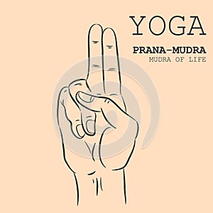 Prana-Mudra photo