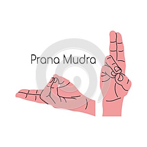 Prana mudra or Peace mudra or Shanti mudra. Yoga hand gesture. Meditation. Vector illustration in flat minimalism design. photo