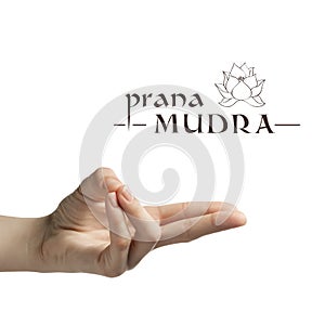 Prana mudra on white photo