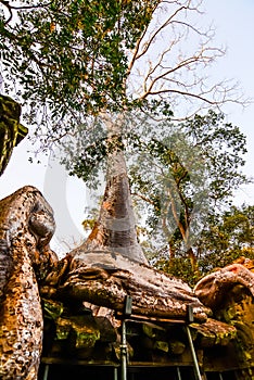 Prasat Ta Phrohm  is  a  stone  castle  built  in  the ancient  Khmer period