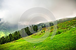 Prashar lake trekk trail.