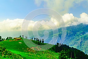 Prashar Lake trekking trail