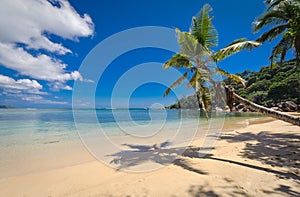 Praslin beach in the seychelles