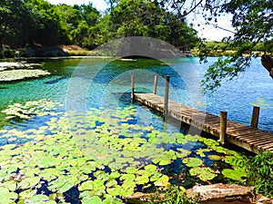 Pratinha farm at Chapada Diamantina, Bahia, Brazil