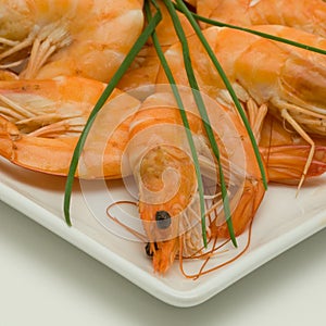 Prawn appetizer plate