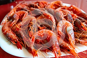 Prawn dish facing down. Species called Red Gamba from Garrucha, Almeria, Andalucia; Spain photo