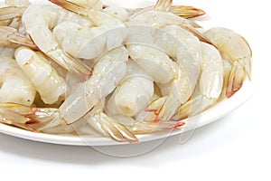 Prawn Dish Raw and Fresh