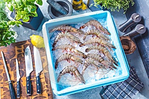 Prawn newly fished and stored in boxes with ice