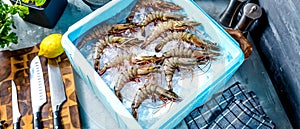 Prawn newly fished and stored in boxes with ice.