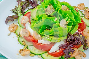 Prawn salad with cucumber, avocado, lettuce, seeds, tomatoes