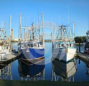 Prawn Trawlers At Dock