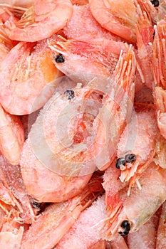 Prawns